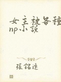 女主被各种淫玩np小说