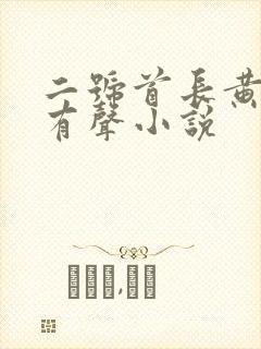 二号首长黄晓阳有声小说封面