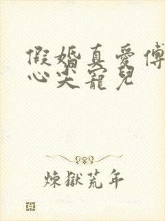 假婚真爱傅少的心尖宠儿