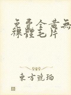 免费全黄无遮挡裸体毛片