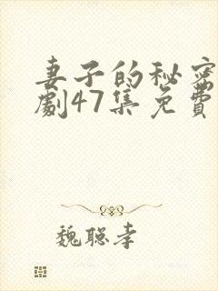 妻子的秘密电视剧47集免费