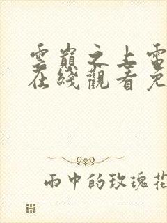 云巅之上电视剧在线观看免费