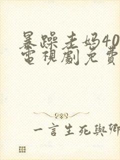 暴躁老妈40集电视剧免费播放