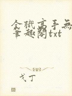 全职高手无弹窗笔趣阁txt