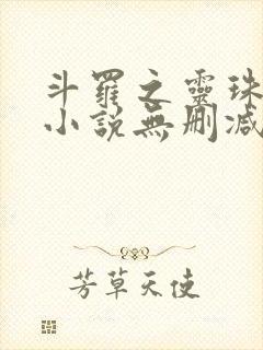 斗罗之灵珠神剑小说无删减