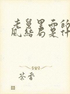 老舅里面的霍东风结局是什么