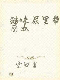 猫咪尿里带血怎么办