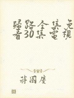 归路全集免费观看30集电视剧