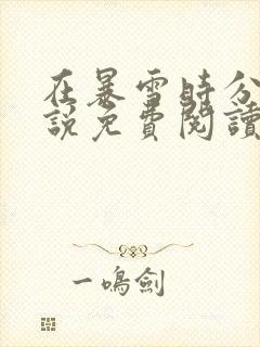 在暴雪时分 小说免费阅读