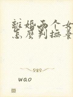 离婚两个女孩子怎么判抚养权