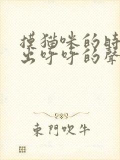 摸猫咪的时候发出呼呼的声音封面