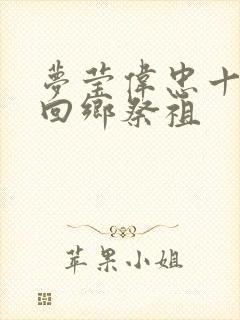 梦莹伟忠十一篇回乡祭祖封面