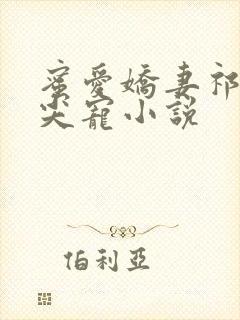 蜜爱娇妻祁少心尖宠小说