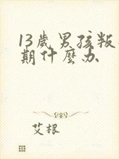 13岁男孩叛逆期什么办