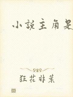 小说主角是王浩