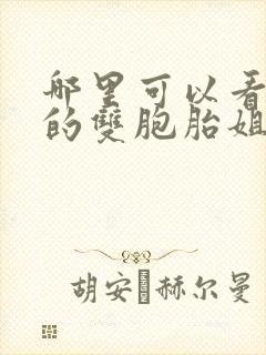 哪里可以看漂亮的双胞胎姐妹花全文封面