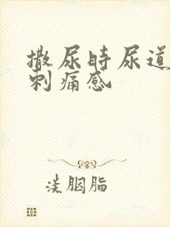 撒尿时尿道口有刺痛感