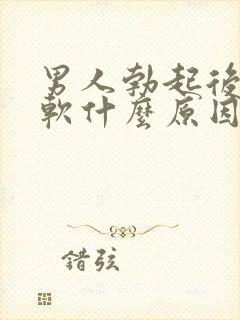 男人勃起后容易软什么原因