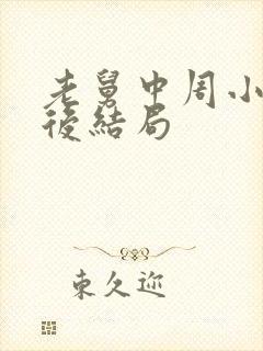 老舅中周小姐最后结局封面