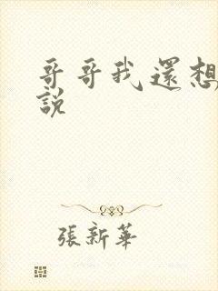 哥哥我还想要小说封面