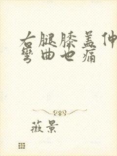 右腿膝盖伸直痛弯曲也痛