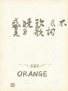 盛晓玫《不停赞美》歌词