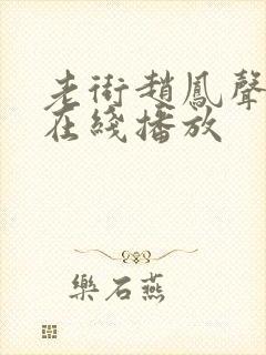 老街赵凤声高清在线播放