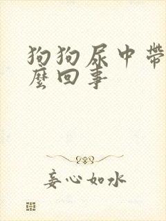 狗狗尿中带血怎么回事