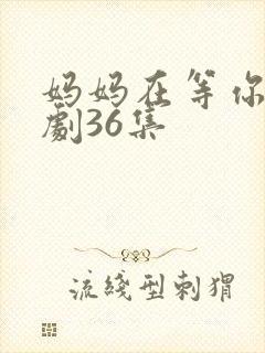 妈妈在等你电视剧36集