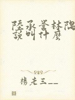 陆承誉林隅眠小说叫什么