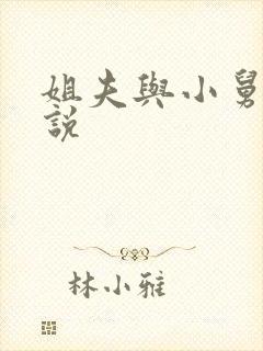 姐夫与小舅子小说封面