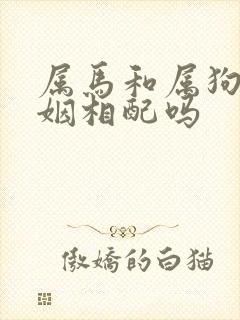 属马和属狗的婚姻相配吗