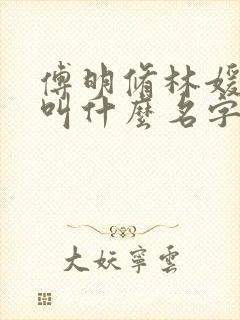 傅明修林媛小说叫什么名字