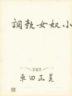 调教女奴小视频