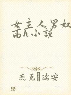 女主人男奴调教高h小说