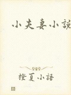 小夫妻小说