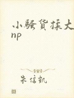 小骚货揉大奶子np封面