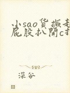 小sao货撅起屁股扒开c打