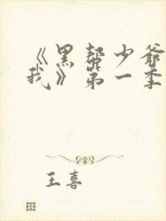 《黑帮少爷爱上我》第一季