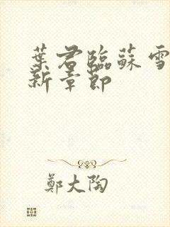 叶君临苏雪儿最新章节