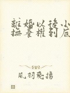 离婚以后小孩的抚养权到底归谁封面