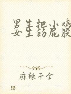 男生把小鸡插进女生的屁股里