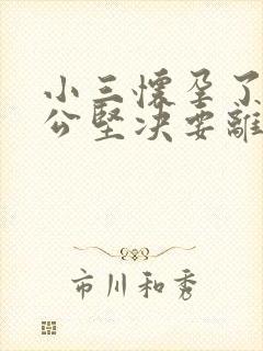 小三怀孕了,老公坚决要离婚封面