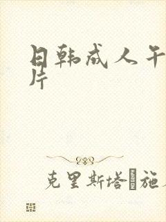 日韩成人午夜毛片