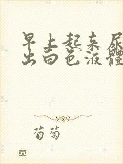 早上起来尿道流出白色液体什么原因