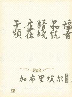 午夜精品福利视频在线观看