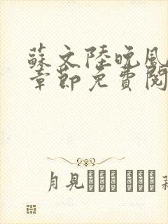 苏文陆晚风最新章节免费阅读笔趣阁