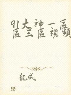 91大神一区二区三区视频网站