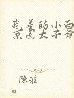 我养的小白脸是京圈太子爷短剧高清