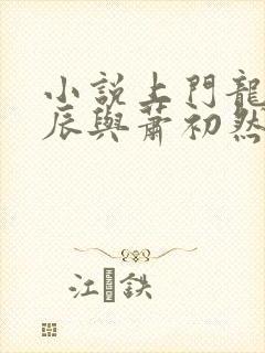 小说上门龙婿叶辰与萧初然